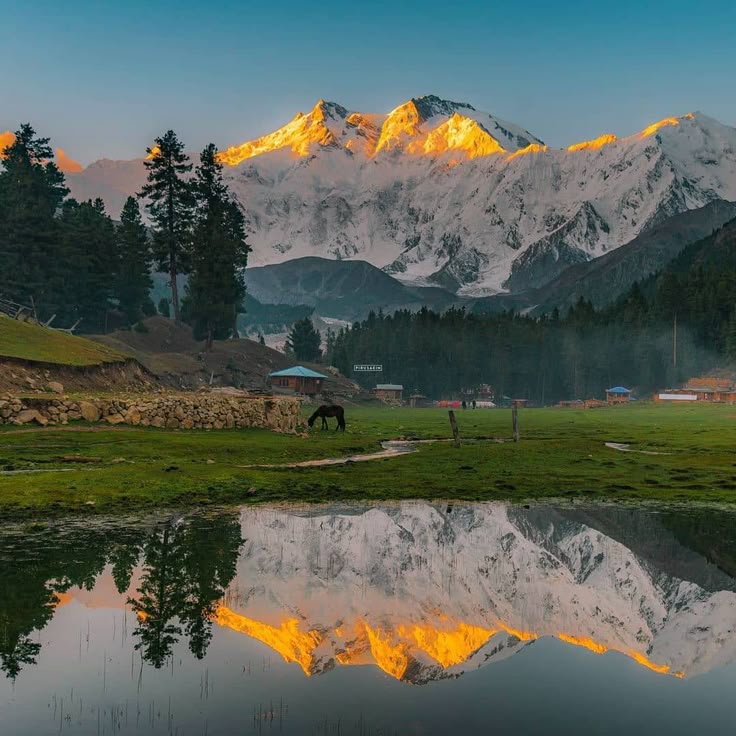 Doodhpathri meadow Kashmir