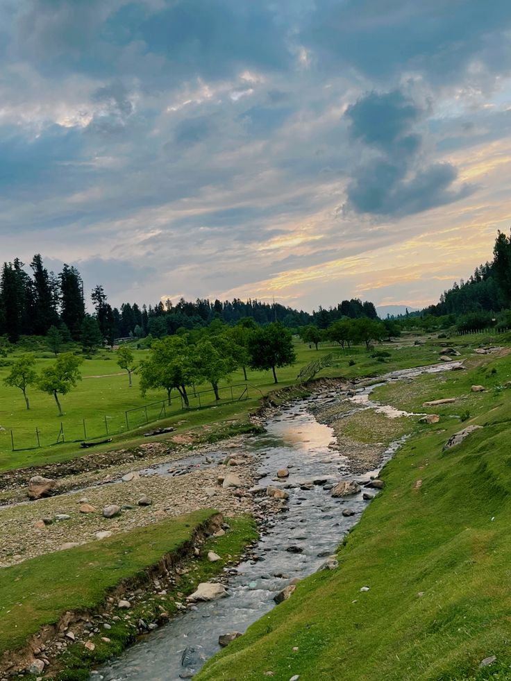 Yousmarg Kashmir meadow